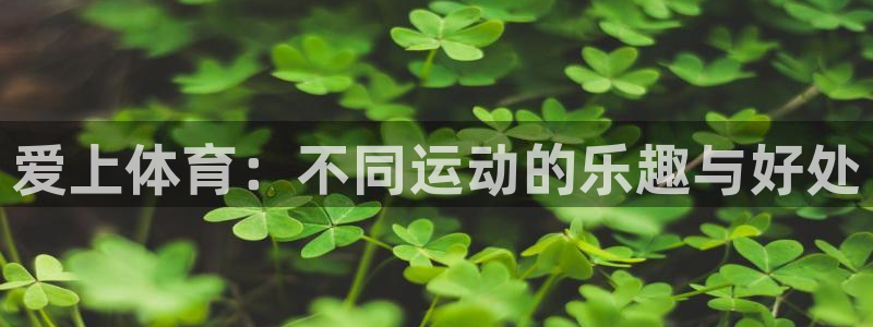猎豹体育免费观看高清直播：爱上体育：不同运动的乐趣与好处