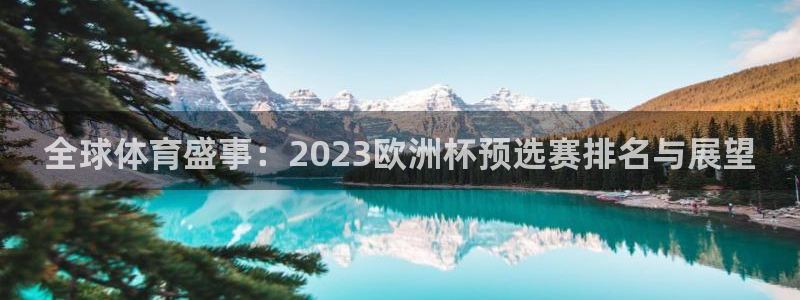 猎豹体育的英文：全球体育盛事：2023欧洲杯预选赛排名与展望
