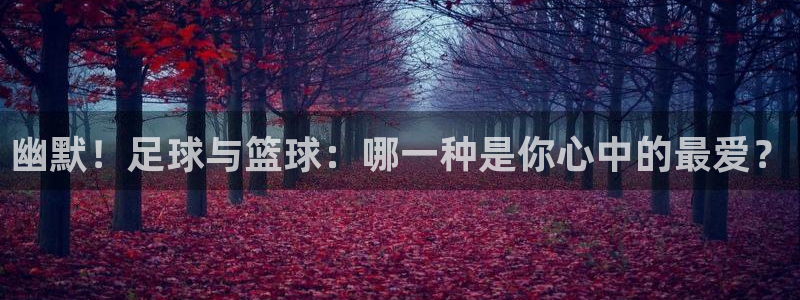 猎豹体育姜鑫：幽默！足球与篮球：哪一种是你心中的最爱？