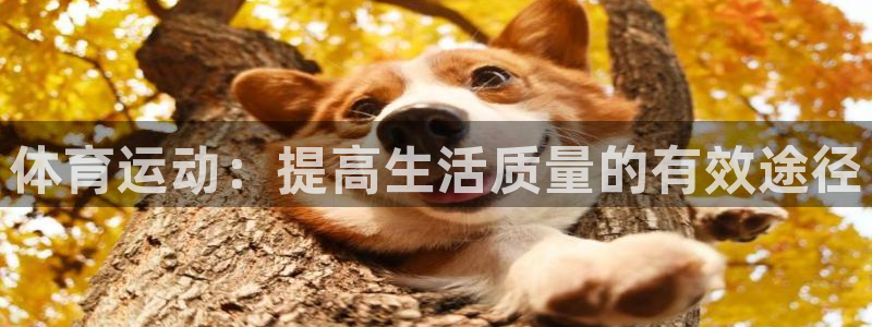 猎豹体育下载app：体育运动：提高生活质量的有效途径