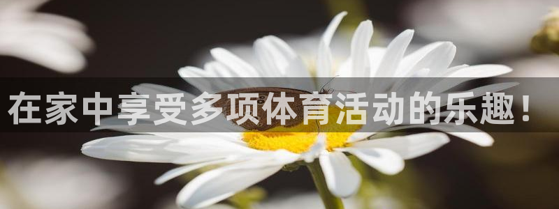 猎豹体育app下载安装：在家中享受多项体育活动的乐趣！