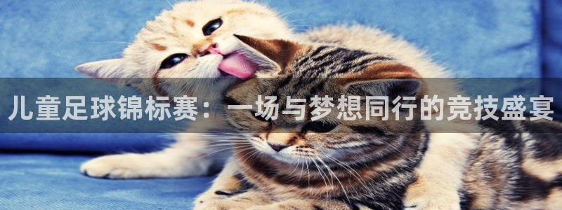 猎豹体育app手机版：儿童足球锦标赛：一场与梦想同行的竞技盛宴