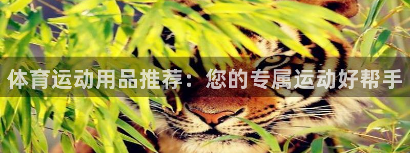 猎豹体育免费观看高清直播：体育运动用品推荐：您的专属运动好帮手