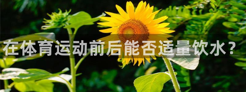猎豹体育直播在线观看(无插件)：在体育运动前后能否适量饮水？