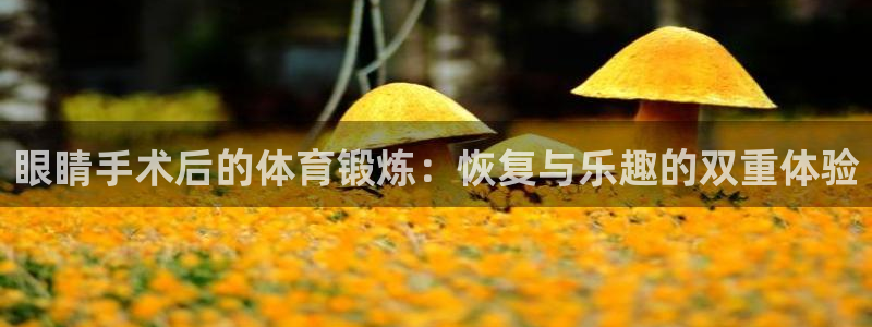 猎豹体育app：眼睛手术后的体育锻炼：恢复与乐趣的双重体验