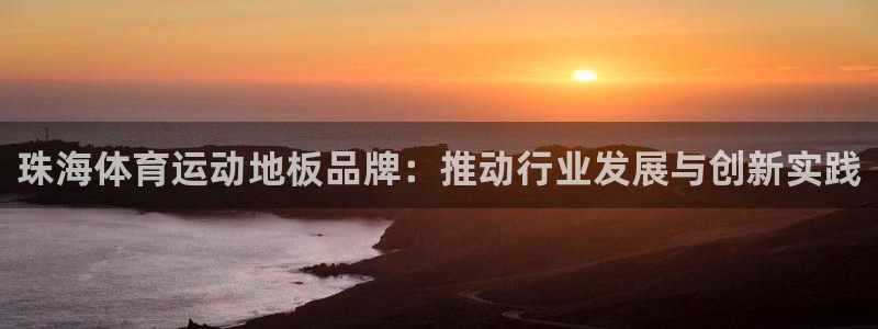猎豹体育官网：珠海体育运动地板品牌：推动行业发展与创新实践