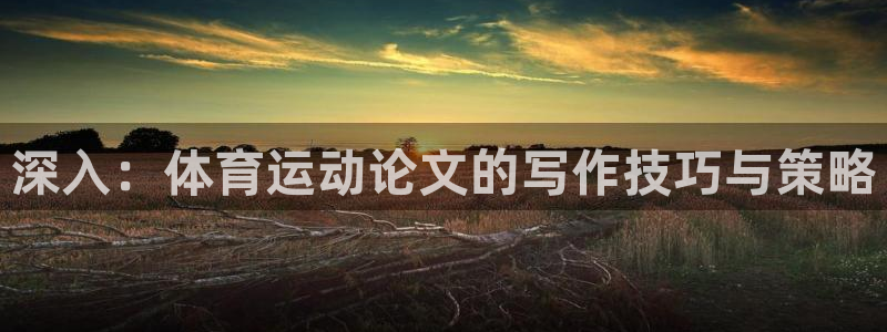 猎豹体育文化传播有限公司：深入：体育运动论文的写作技巧与策略